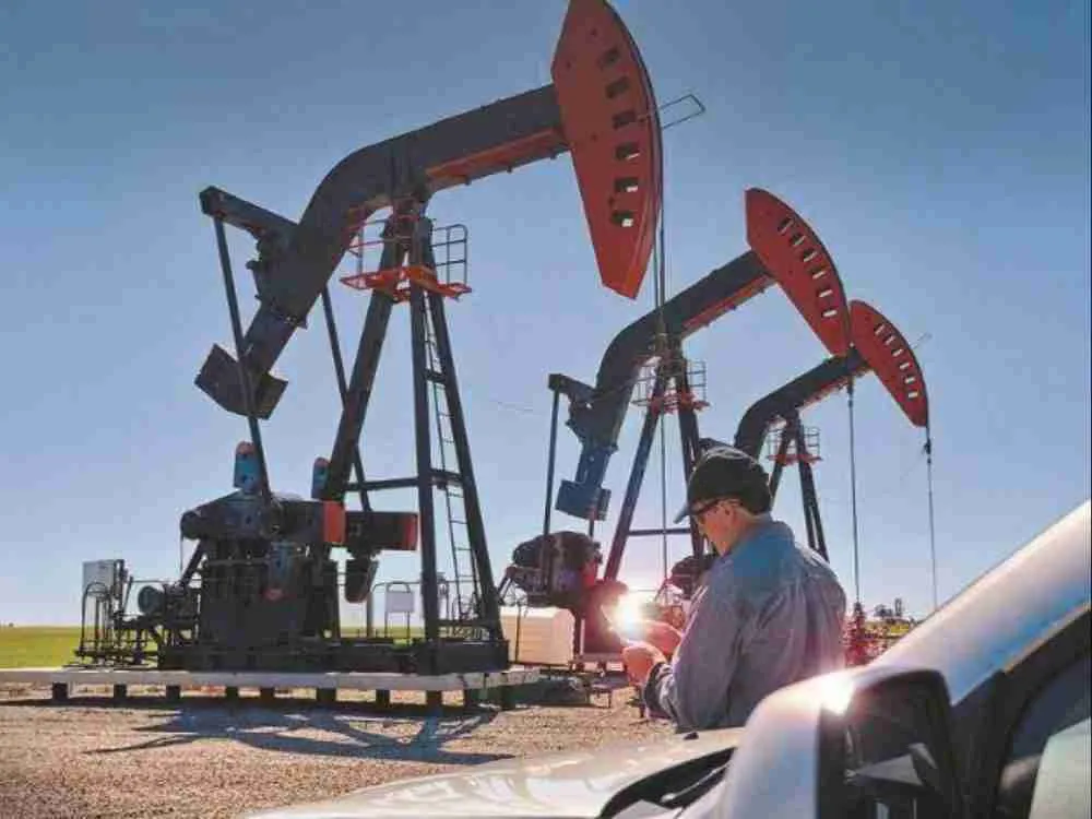 OPEC+ Is Focused on Steady Supply of Oil, Not Prices, Iraq Says مصدر الصورة: بزنس ستاندرد.