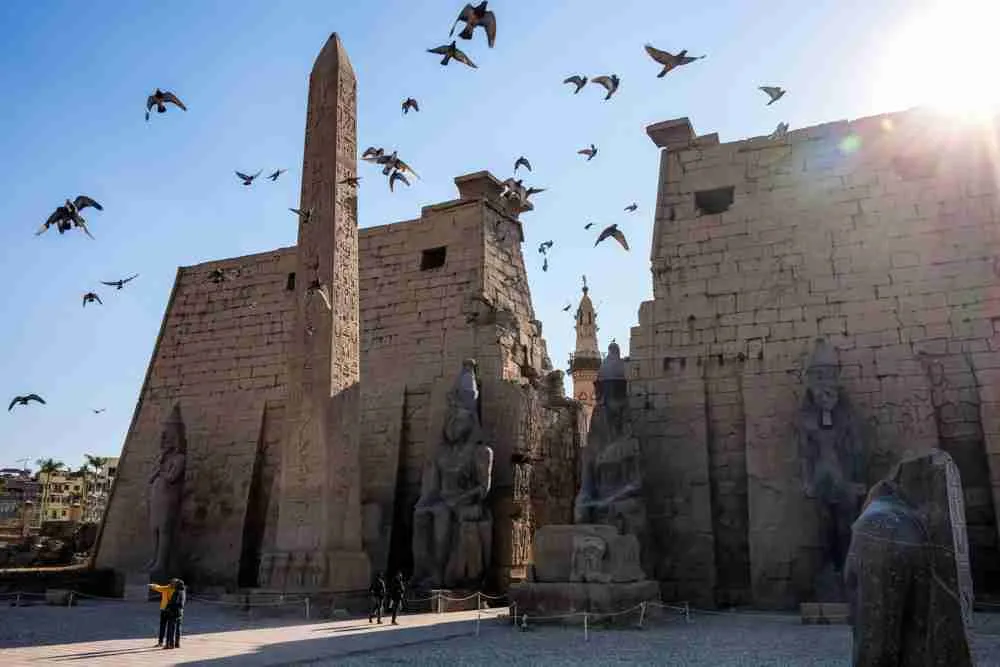 يطير الحمام عبر مسلة الأقصر المتبقية وتمثال رمسيس الثاني خارج أبراج معبد الأقصر في مدينة الأقصر جنوب مصر، الصورة: أمير مقار، لوكالة الصحافة الفرنسية، بواسطة غيتي إيماجز.