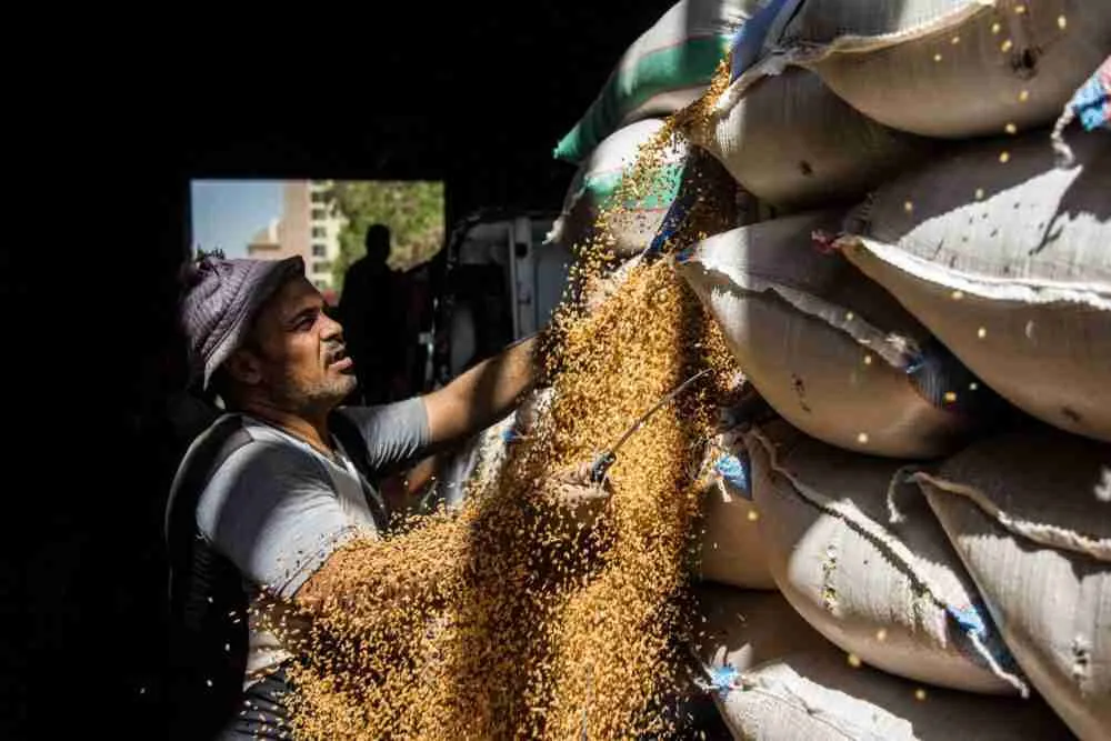 تصارع مصر أسعار الحبوب القياسية التي غذاها الغزو الروسي لأوكرانيا. الصورة: إسلام صفوت، بلومبيرغ.