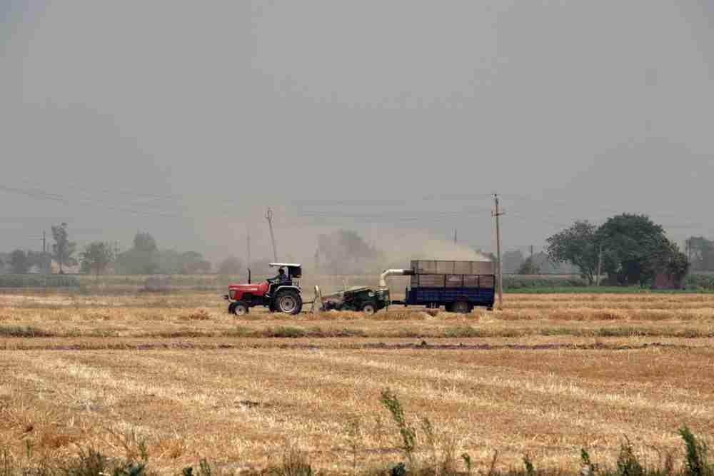 الهند تدرس قيود على تصدير القمح في أحدث ضغط على إمدادات الغذاء