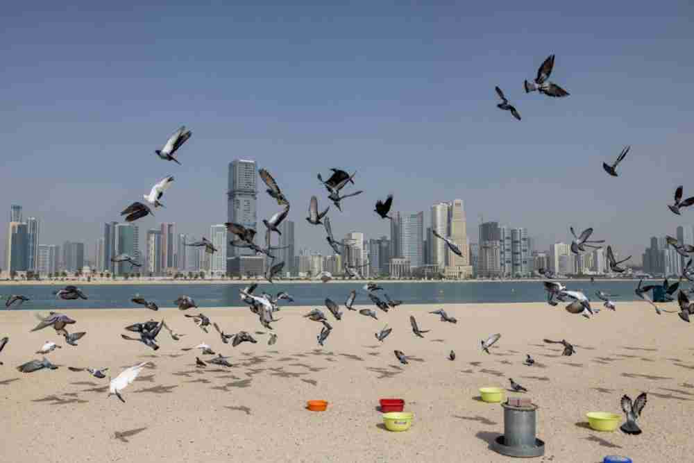 دبي تبيع 12.5% من أسهم مجموعة تيكوم في أحدث طرح عام أولي