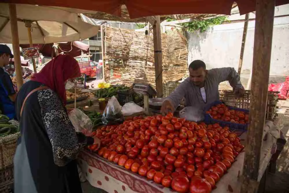 تسارع التضخم في مصر مع تزايد القلق من ارتفاع أسعار الوقود