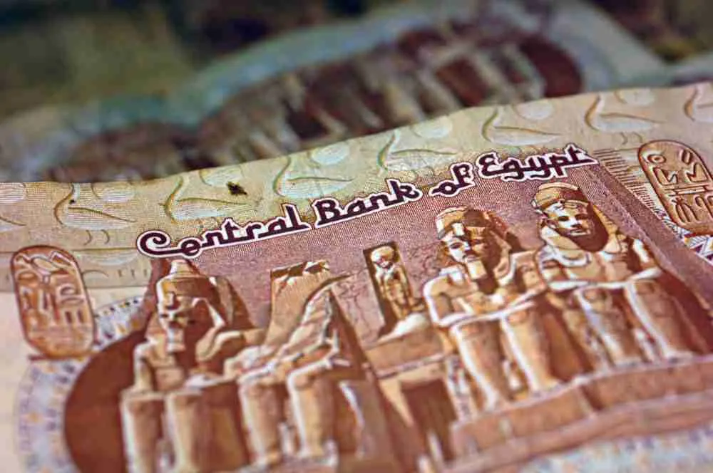 صورة لأوراق الجنيه المصري. الصورة: دانيال أكير، لبلومبيرغ نيوز.