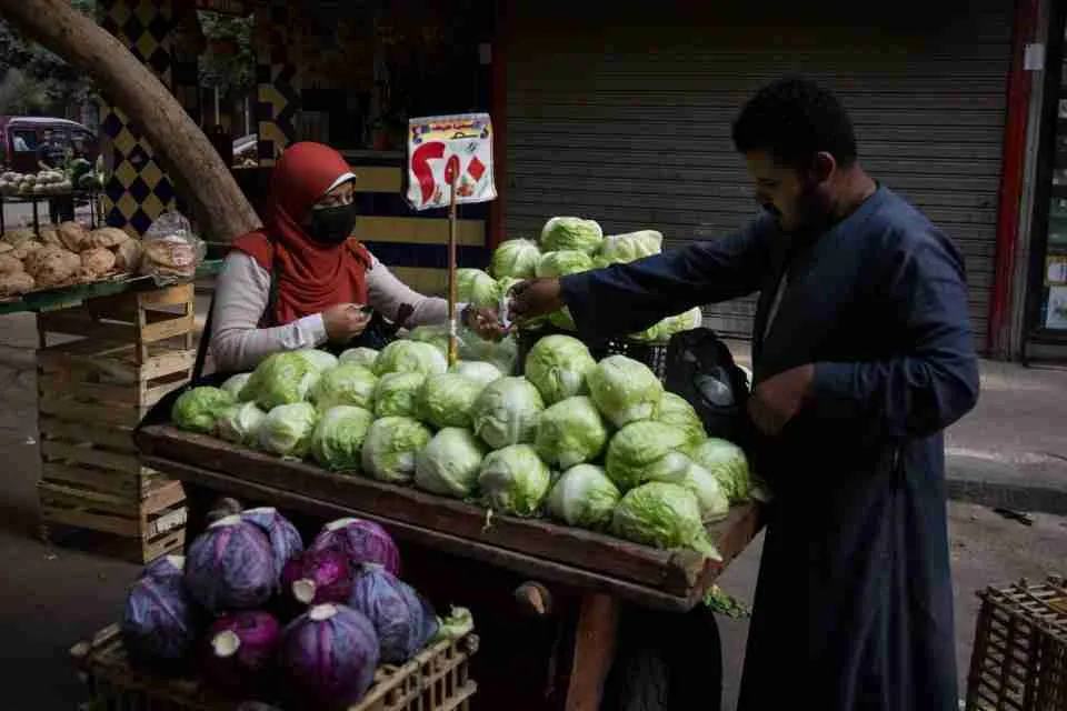 مصر تحصل على تمويل بقيمة ملياري دولار لتحقيق أهداف المناخ والأمن الغذائي