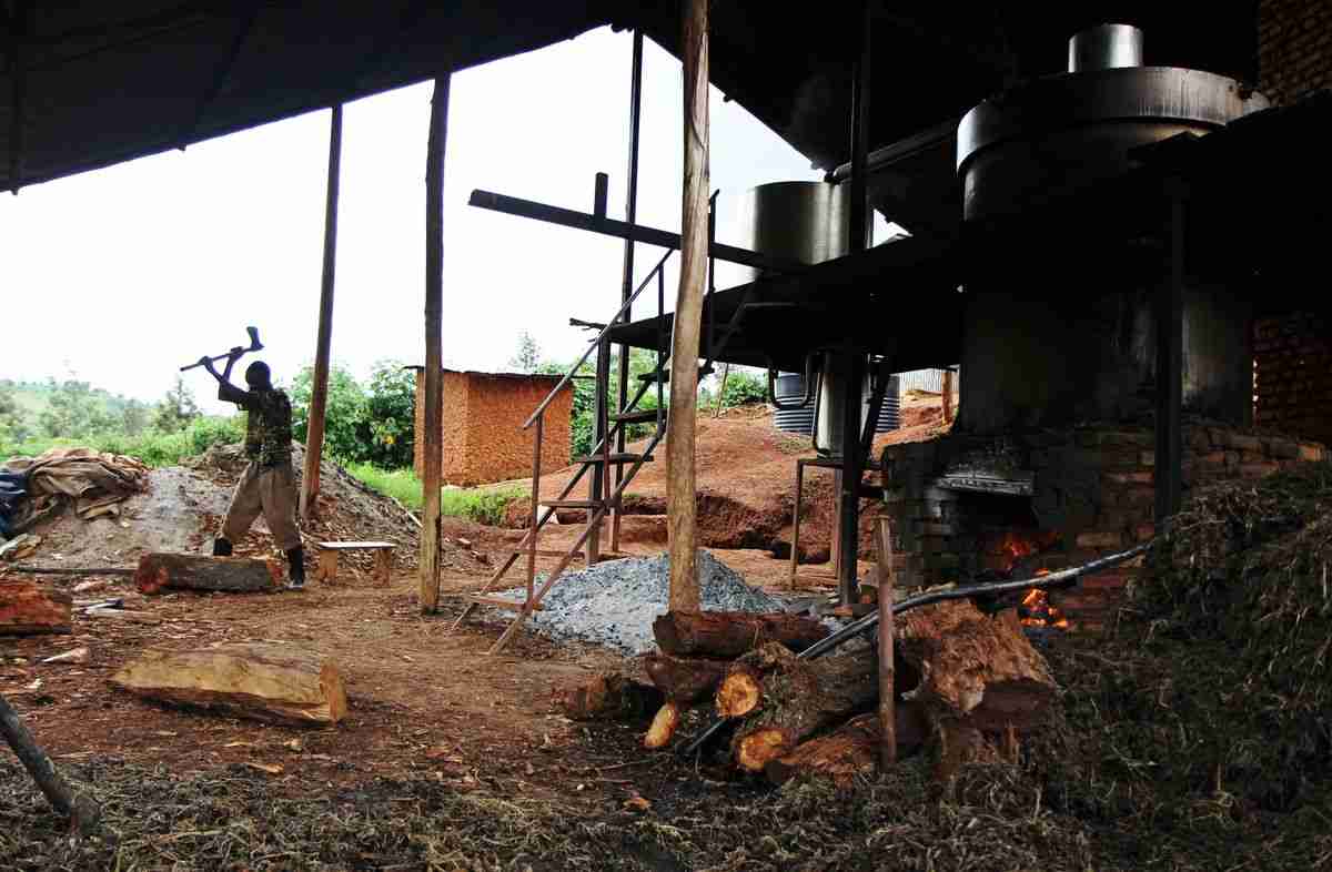 رواندا تحصل على 200 مليون دولار لتنمية رأس المال البشري