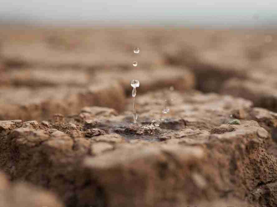 دبلوماسية المياه تحتل مركز الصدارة في المحادثات التركمانية الأفغانية