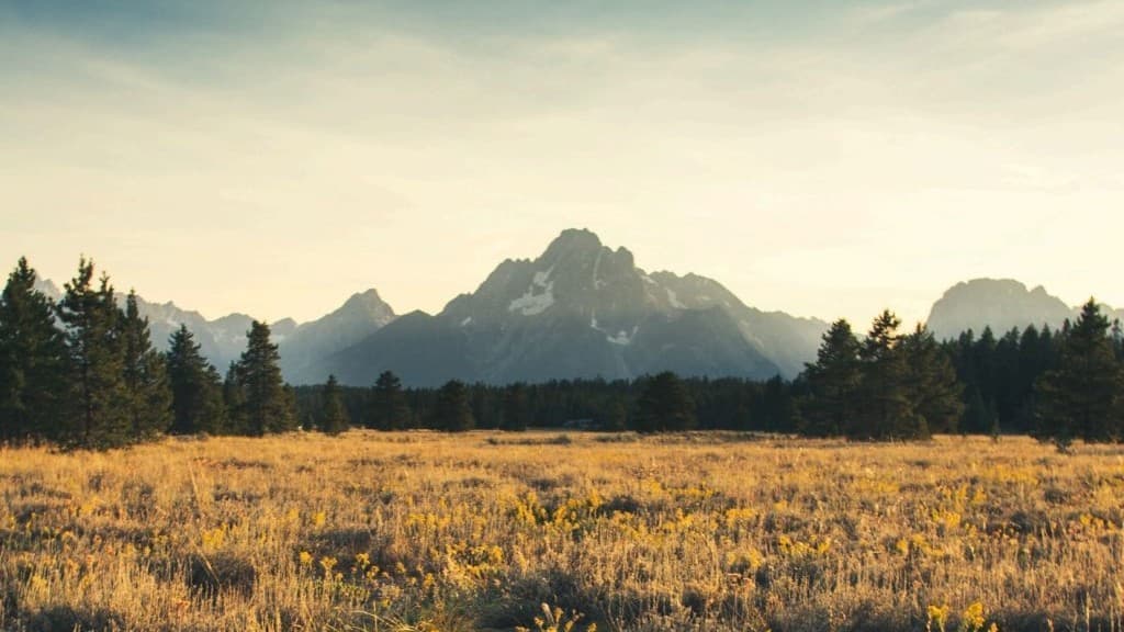 منتجو اليورانيوم الأمريكيون يعيدون إحياء المناجم المهجورة