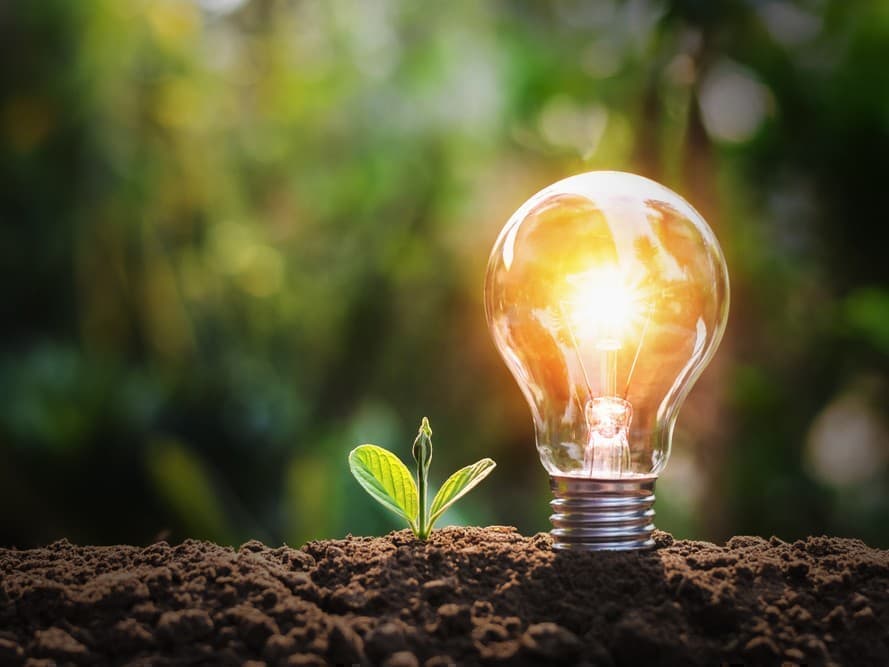 Breakthrough Paper-Based Battery Design Draws Inspiration from Plants مصدر الصورة: أويل برايس