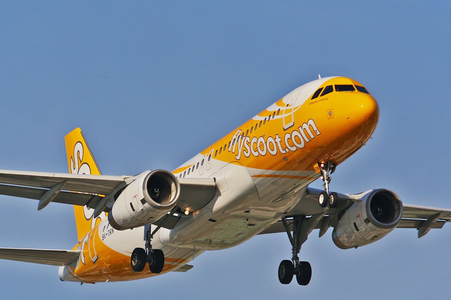 مصدر الصورة: وسائل التواصل الاجتماعي