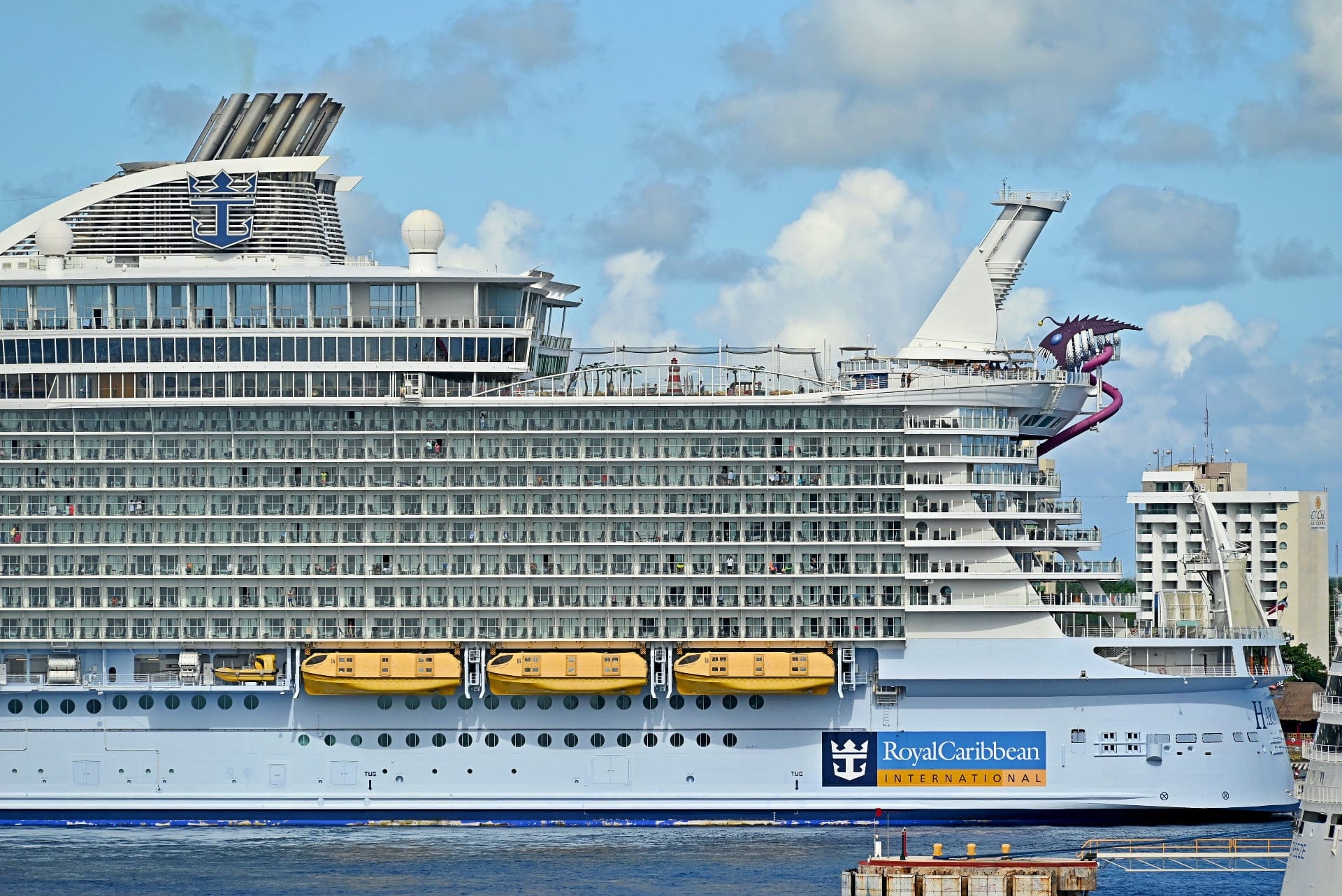 مصدر الصورة: وسائل التواصل الاجتماعي