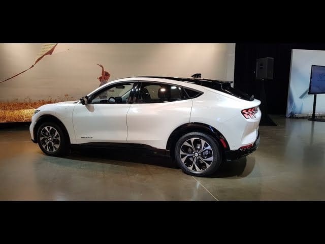 المصدر: مواقع التواصل الاجتماعي