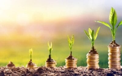 أين تحفظ أموالك؟