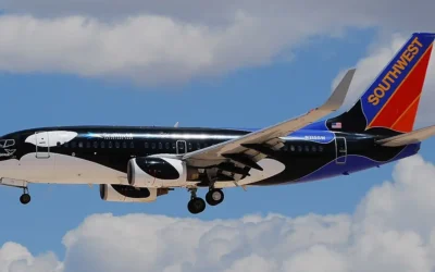 معركة إليوت لتغيير قيادة شركة الطيران الأمريكية ساوث ويست تحتدم