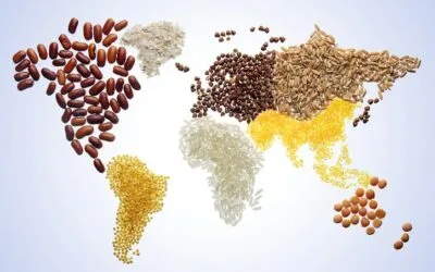 أحدث احصائيات البنك الدولي حول الأمن الغذائي وأسعار الغذاء العالمية