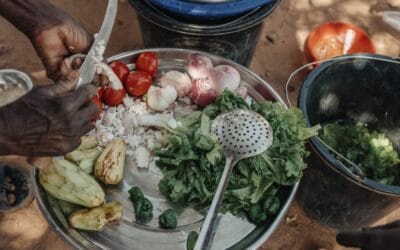 الأمن الغذائي: المستويات والمقاييس