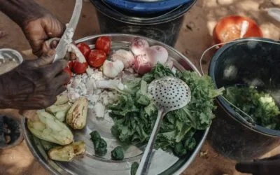 الأمن الغذائي: المستويات والمقاييس